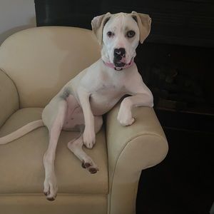 Meet your Posher, Jayne